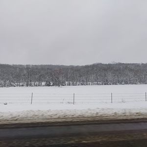 Meet your Posher, Bridgett